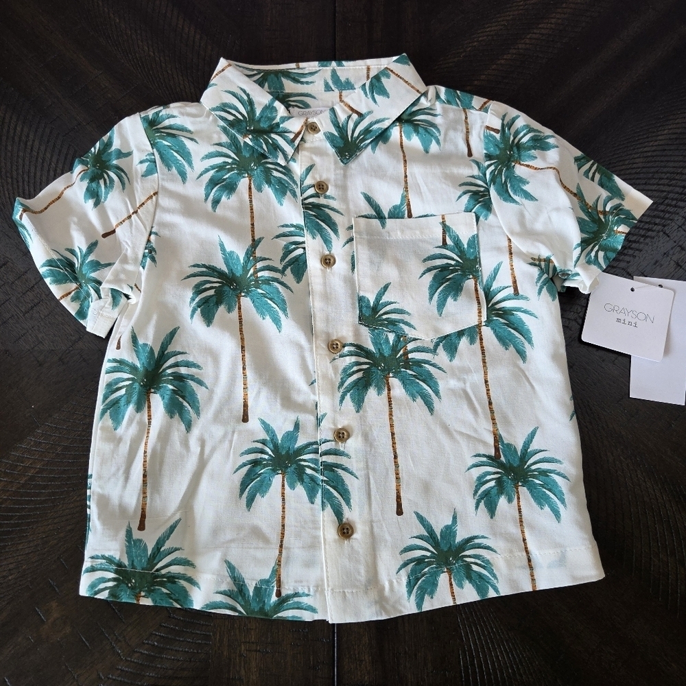 Palm Tree Print Shirt & Shorts Set NWT Vacation Beach Travel Size 4T Kids Boys - Picture 3 of 12